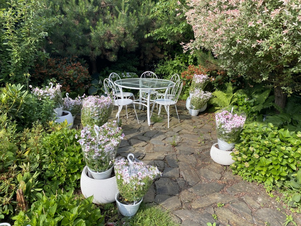 Ogród New-Garden