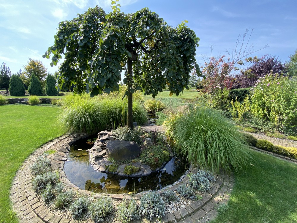 Ogród New-Garden