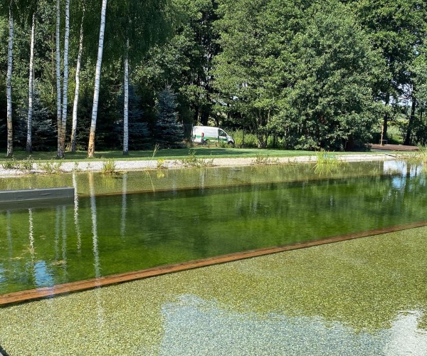 Staw Żory